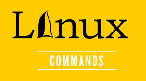 Основы администрирования Linux.