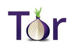 Картинки по запросу tor hosting
